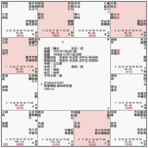 離鄉背井命格|太陽坐守亥宮